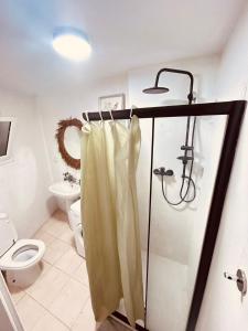 a bathroom with a shower and a toilet at Charmant duplex proche mer à Carthage in Carthage