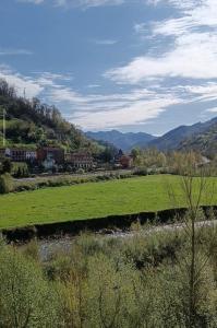 a field of green grass with mountains in the background at La casina de isa in Aller