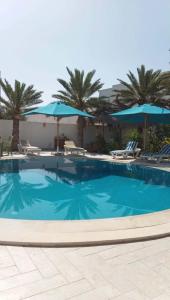 a large blue swimming pool with chairs and umbrellas at Villa La Palmeraie d'Arkou, grande piscine in Arkou