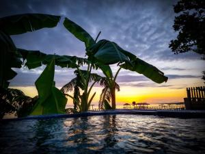 a pool with a palm tree next to a sunset at Come Friday Cottages in Bacliff