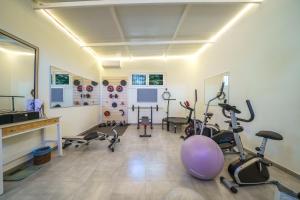 a gym with several exercise equipment in a room at Fisi & Wellness Exclusive Villa with Spa Vibes in Stavromenos