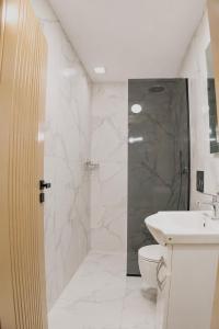 a bathroom with a shower and a toilet and a sink at Villa Osmani in Shkodër +58 photos