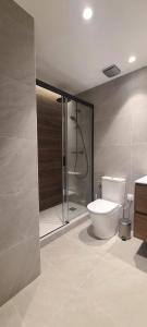 a bathroom with a shower and a toilet in it at Genesis-Loft San Enrique 14 in Madrid