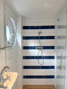 a bathroom with a shower with blue and white tiles at Kajüte mit Meerblick & eigener Terrasse in Sierksdorf +11 photos