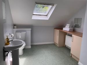 a bathroom with a toilet and a sink and a window at Chamberlain House in Derry Londonderry