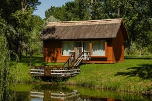 a small house on the side of a body of water at Zaga Zaga Sat in Tecuci
