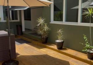 a patio with potted plants and an umbrella at Casa Condado Hotel & Residences in San Juan
