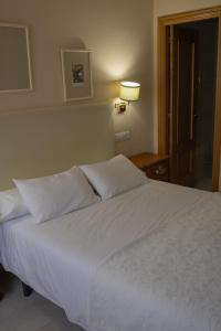 a bedroom with a bed with white sheets and a lamp at Hotel La Brañina in Villablino