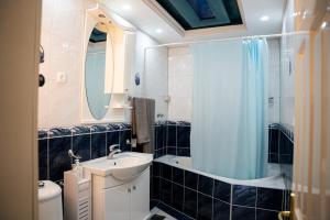 a bathroom with a sink and a toilet and a shower at Rooms Asceric in Stari Banovci +23 photos