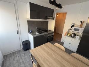 a small kitchen with a sink and a stove at Le cocon de la Citadelle in Chalon-sur-Saône