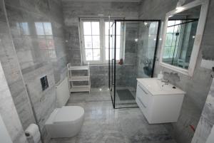 a bathroom with a shower and a toilet and a sink at Noclegi Dywity Barczewskiego 27 in Dywity +187 photos