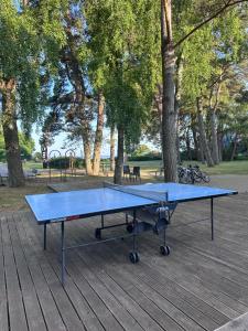 a blue ping pong table in a park at Nidos SKALVA in Neringa
