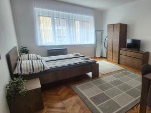 a living room with a bed and a window at Downtown Studio Apartman in Pécs