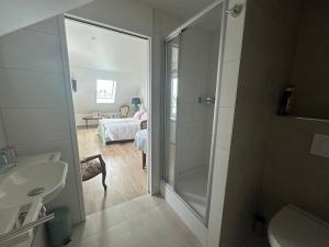 a bathroom with a walk in shower next to a sink at Au parfum des roses in Gunstett +68 photos