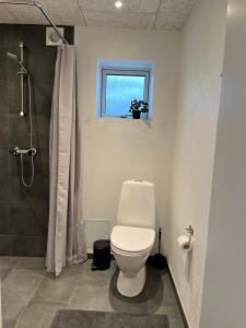 a bathroom with a toilet and a shower and a window at Varde Bed and Kitchen Annekset in Varde +7 photos
