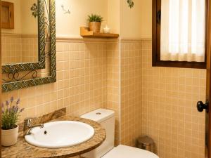 a bathroom with a sink and a toilet at Casa Ilera II, en el corazon de Rioja Alta 8 PAX in Casalarreina