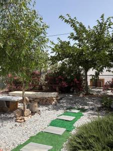 a garden with green grass and a bench and trees at CUEVA RURAL PALAPA DEL PERAL in El Charcón