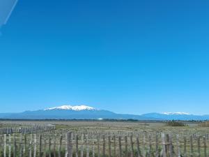 a view of the snowy mountains from a winery window at Lesoleil in Canet-en-Roussillon +6 photos