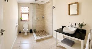 a bathroom with a shower and a sink and a toilet at Adrenalin Addo Manor House in Addo +20 photos