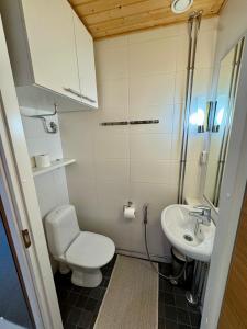 a small bathroom with a toilet and a sink at Ylläs Chalets 7305 in Ylläs +23 photos