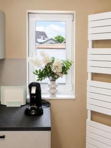 a window with a vase of flowers on a counter at MeinZuhause Apartmente NG in Bad Pyrmont +7 photos