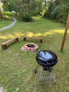 a grill and a picnic table and a fire pit at koliBka - tiny house in Michalová