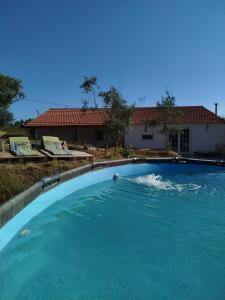 ein großer Pool mit blauem Wasser in einem Garten in der Unterkunft Quercus Lounge in Ansião