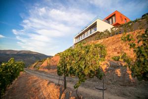 a house on the side of a hill with vines at Quinta Vale de Lobos in Folgosa