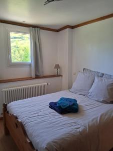 a bedroom with a bed with a blue shirt on it at L'Entre Monts in Saint-Pierre-dʼEntremont