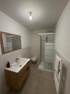 a bathroom with a sink and a toilet and a mirror at Couett' Hotel Rumilly in Rumilly