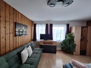 a living room with a green couch and a television at Boabauer in Tamsweg