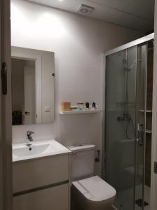 a bathroom with a toilet and a sink and a shower at Purísima Vivienda Turística in Córdoba +12 photos