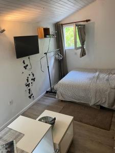 a bedroom with a bed and a television in it at Studio "Jakar" près de Toulouse in Saint-Jean