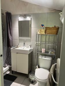 a bathroom with a toilet and a sink and a mirror at Studio "Jakar" près de Toulouse in Saint-Jean
