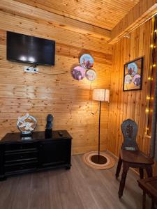 ein Wohnzimmer mit einem Fernseher an einer Holzwand in der Unterkunft Zoella in Gushaini