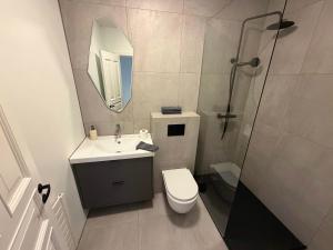 a bathroom with a toilet and a sink and a mirror at Vesturgata 8 KEF in Keflavík +6 photos