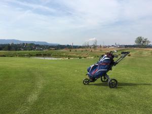 a blue stroller is parked on a golf course at Chalupa u Broumovských stěn in Božanov