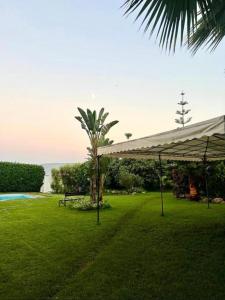 a green yard with a tent and a palm tree at Residence oum kaltoum in Oued Laou