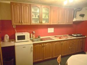 una cucina con armadi in legno e forno a microonde bianco di Penzion Havaj a Karlovy Vary Altre 22 foto