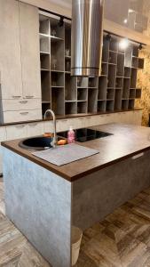 a kitchen with a sink and a counter top at Chayka Home Hotel in Chayky +99 photos