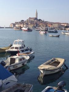 a group of boats are docked in a harbor at Apartmani Val in Pula