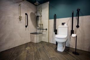 a bathroom with a toilet and a shower at Fuchsia Cottage - Accessible Comfort in Wilton