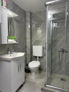 a bathroom with a toilet and a shower and a sink at Comfort House Kocani in Kočani