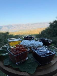a tray of food on a table with ice and sauce at Memo's GUEST house in Labova e Poshtme +11 photos
