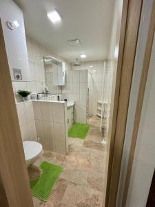 a bathroom with a toilet and a sink and a mirror at Appartments Prinz - Gerlitze in Tobitsch +41 photos