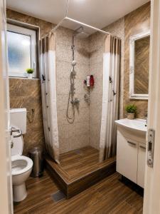a bathroom with a shower and a toilet and a sink at Royal Apartmani in Negotin