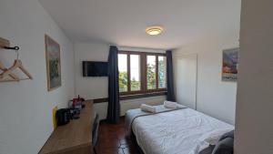 a bedroom with a bed and a window at Castle view by MK in Montreux