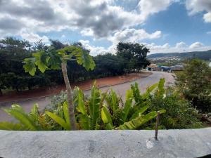 a view of a street with a palm tree and a road at Quarto superior Privativo in Itupeva