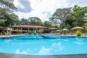 a large blue pool with chairs and umbrellas at Sagana Getaway Resort in Maranjua