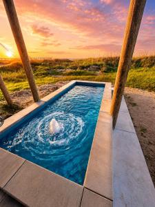 a pool with a bird in the water at Spacious Beachfront 5BR with Gorgeous Ocean views - Blue Footed in Bolivar Peninsula